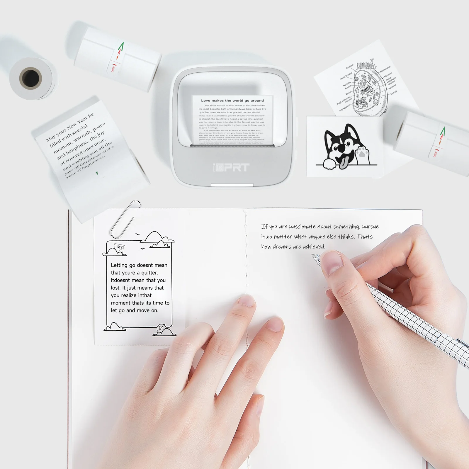 iDPRT Mini Thermal Sticker Paper - 3 Rolls (57x25mm) for S1 - Image 5